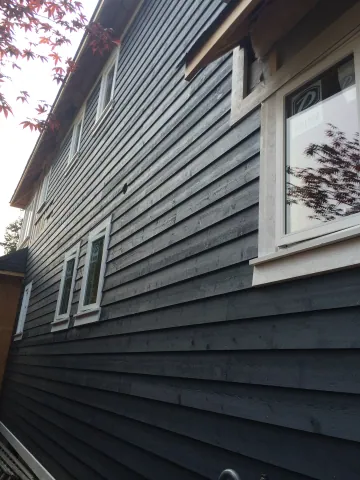 Dark horizontal siding with white window trim