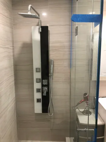 Glass shower door and wall-mounted shower fittings